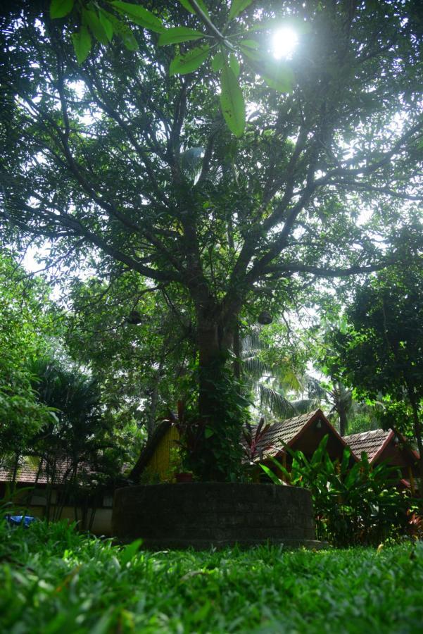 Savithri Inn Cottage Varkala Eksteriør bilde