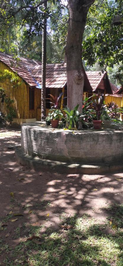 Savithri Inn Cottage Varkala Eksteriør bilde